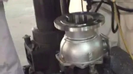 Fornitori di fabbrica Flangia filettata avvitata in acciaio inossidabile
